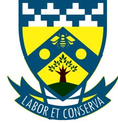Merensky crest